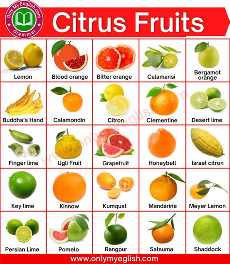 List of 30+ Citrus Fruits are rich in Vitamin C .